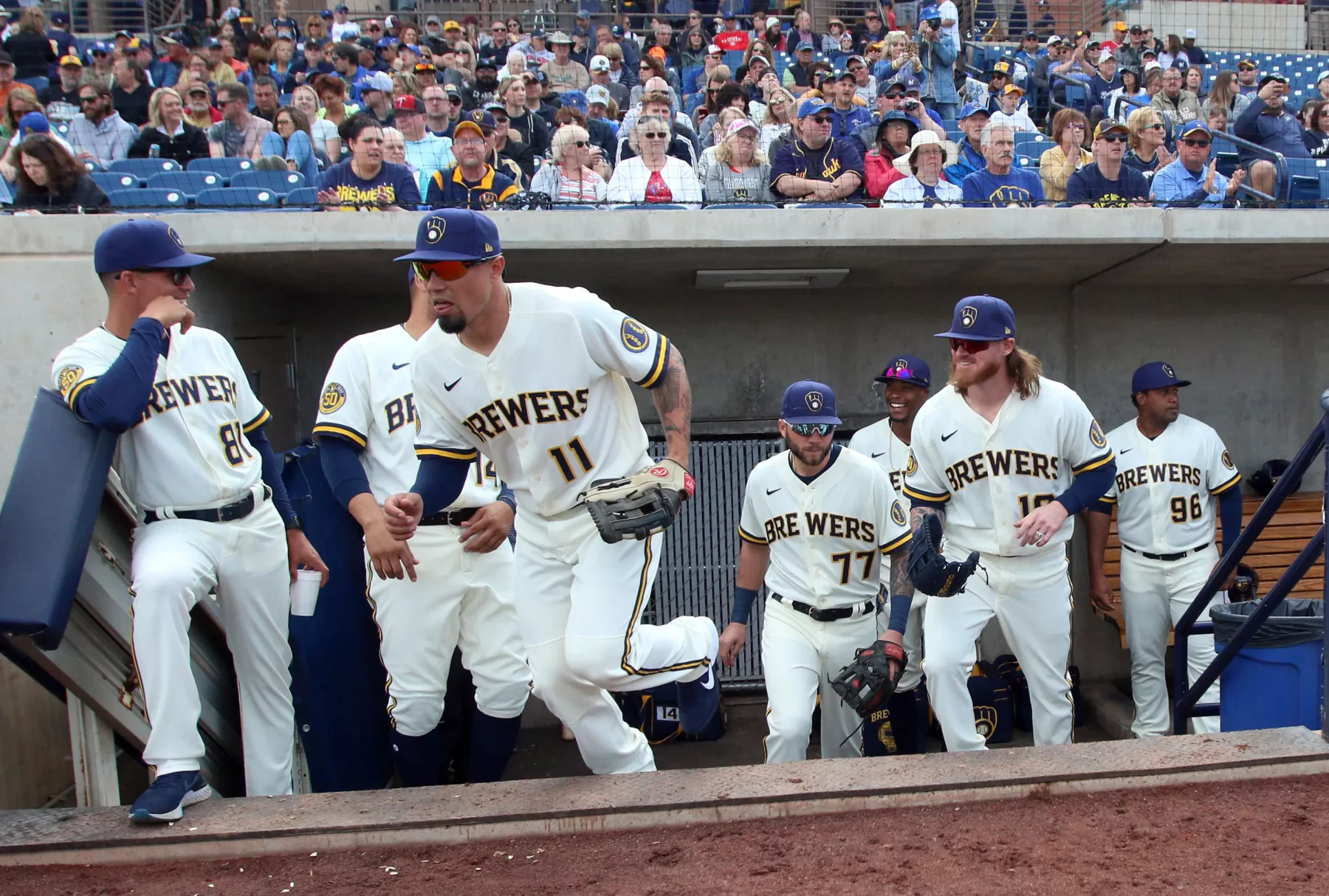 brewers-spring.webp
