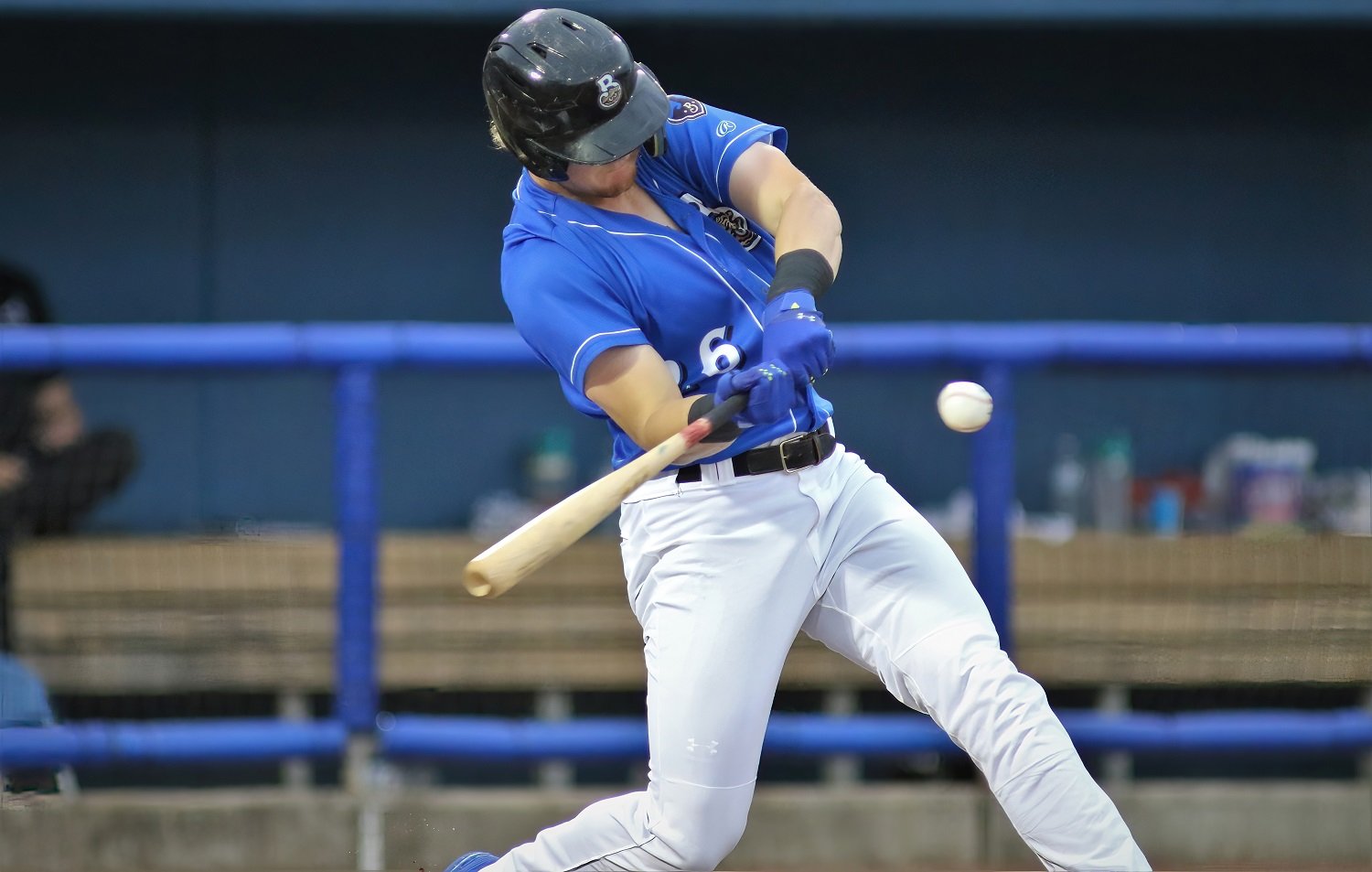 Milwaukee Brewers prospect Weston Wilson proposes at Carolina Mudcats game