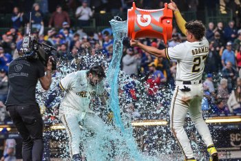 The Majesty of Baseball