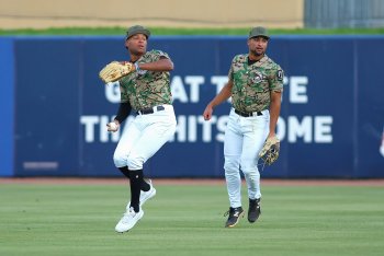 Brewers Minor League Link Report (6/18): Alvarez, Parra and Martinez Were Clutch in Three Fathers’ Day Victories