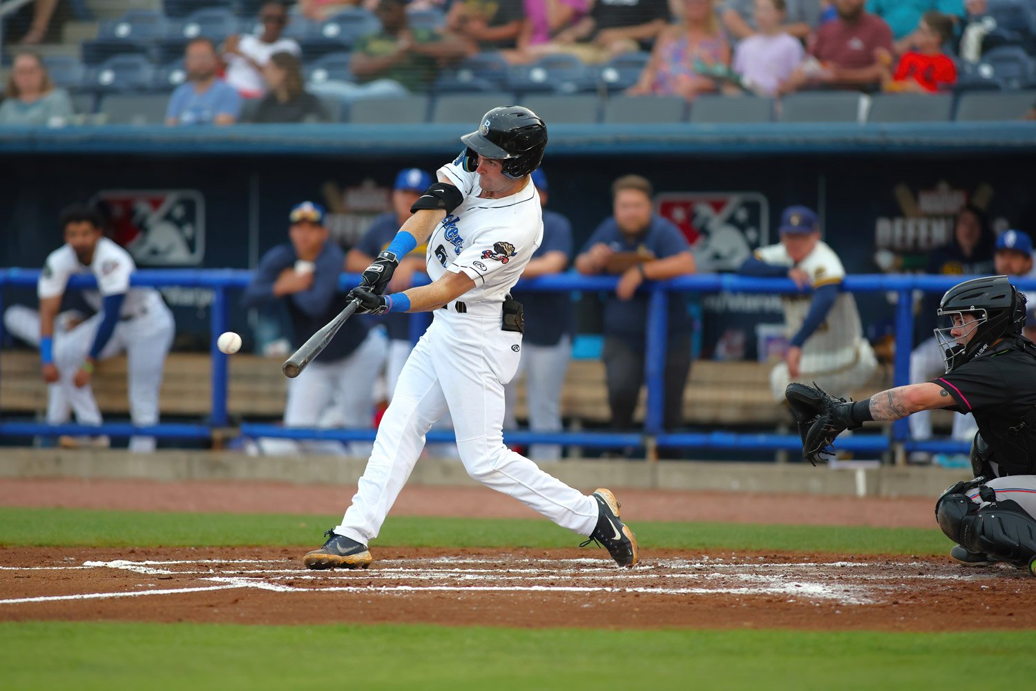 The Time I (Almost) Caught A Brewers Home Run - Wisconsin Life