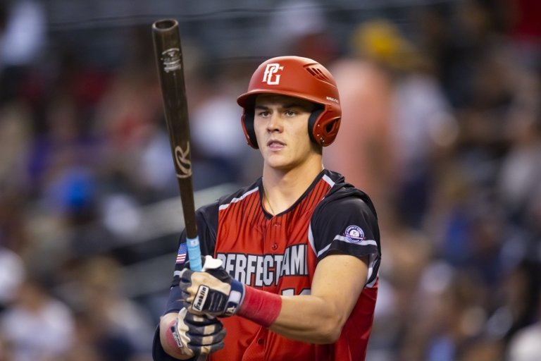 Revisiting the State of the Farm – Shortstop