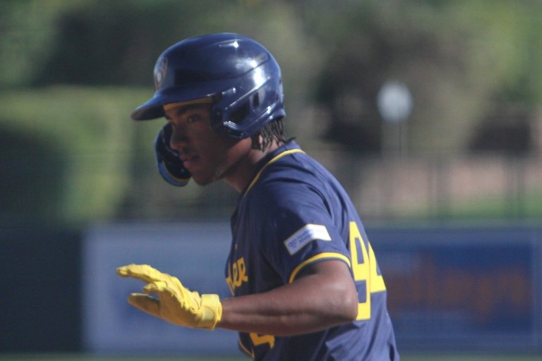 Brewers Farm System 2024 Preview: Carolina Mudcats