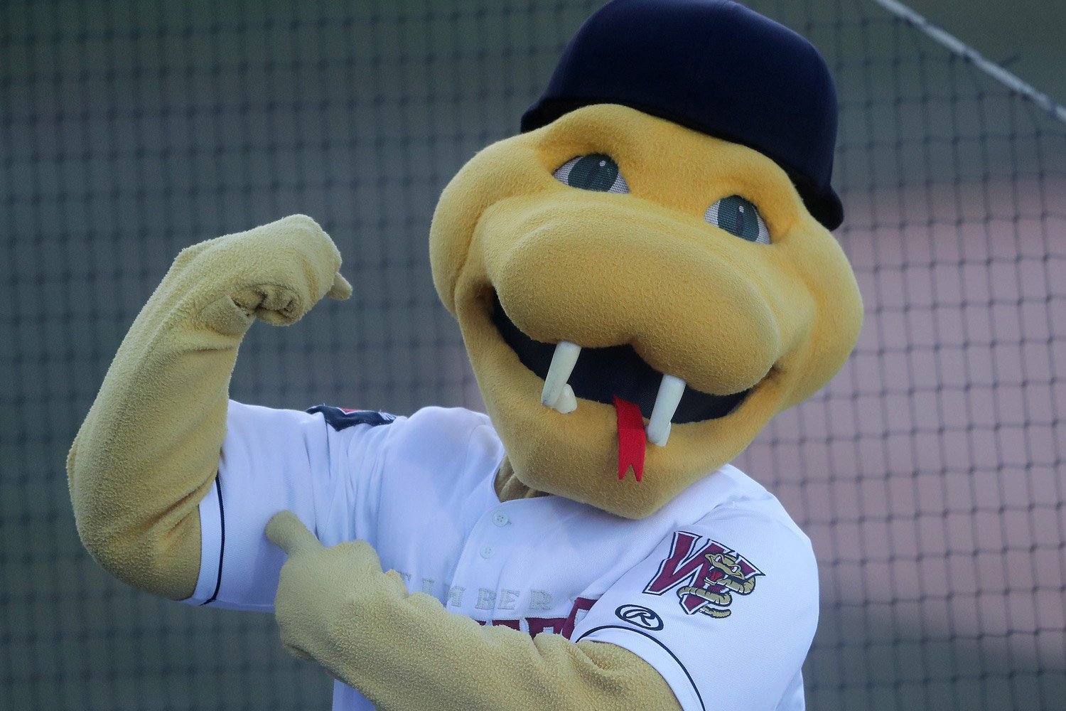 Brewers Farm System 2024 Preview: Wisconsin Timber Rattlers - Minor ...