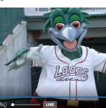 Screen Shot 2024-08-20 at 3.56.51 PM.png