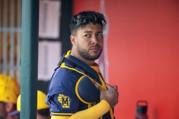 What Does Recent History Tell Us About Jeferson Quero's Shoulder Injury—and When Will He Reach MLB?