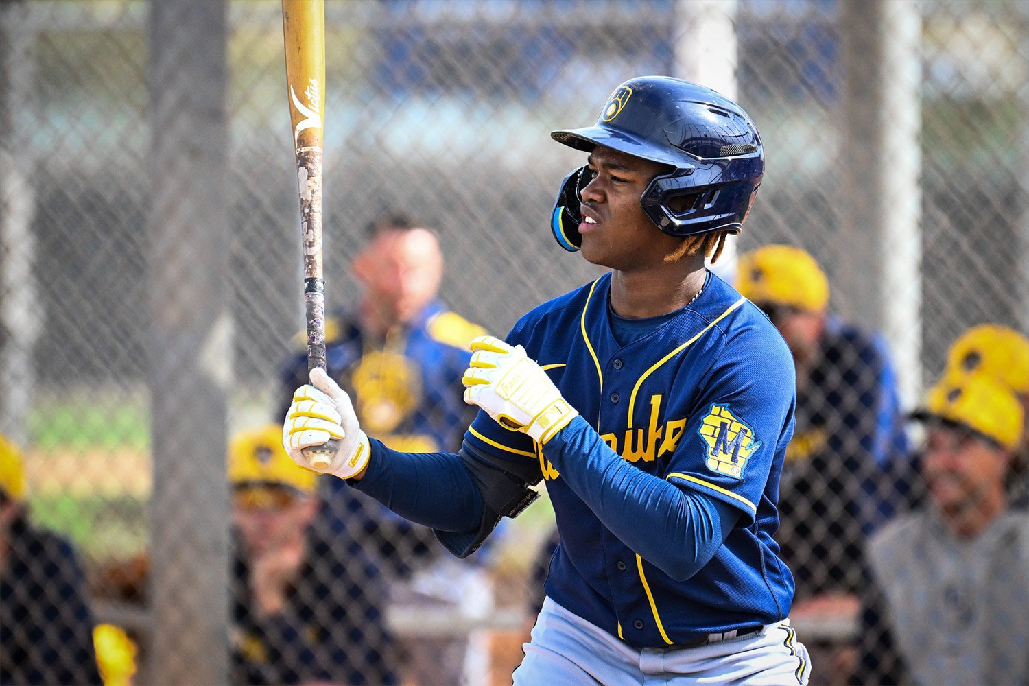 Vote For Your Top Brewers Prospects!