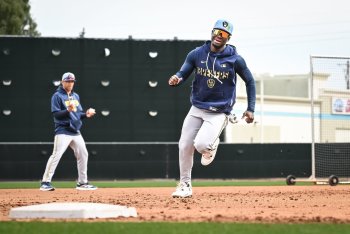 What Can the Milwaukee Brewers Expect From Luis Lara?