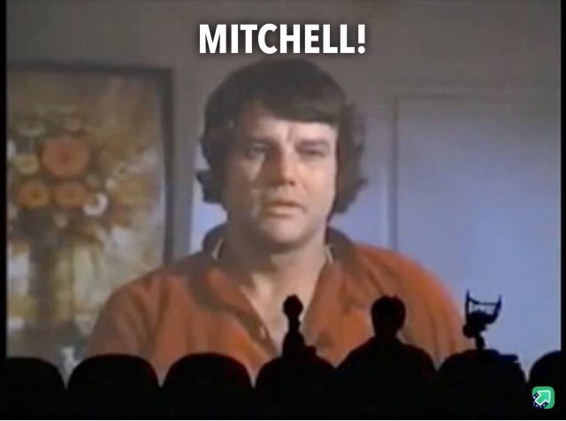 mitchell.jpeg.5bbf9f0d2b184f14a08dd8660a9065e9.jpeg